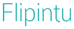 WITS Interactive Joint Ventures - Flipintu GmbH